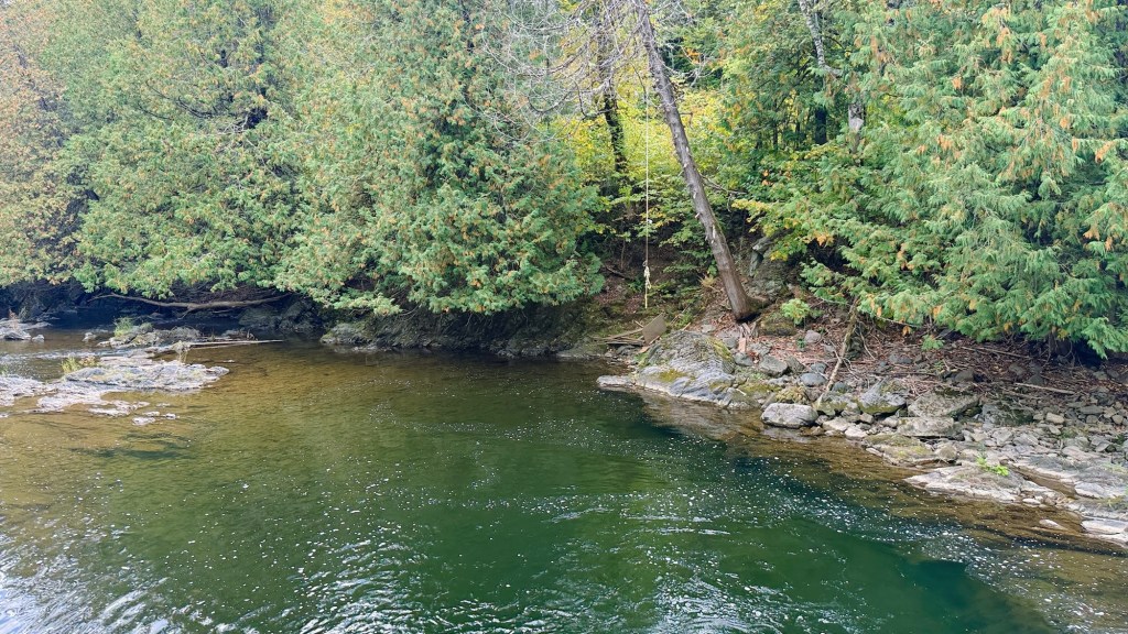 A tranquil river scene featuring calm, green water bordered by lush greenery and rocky shorelines, with trees along the bank.