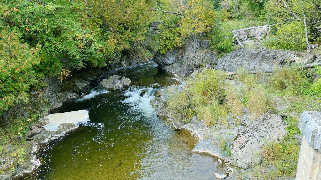A serene river surrounded by lush greenery and rocky banks, with gentle rapids flowing through a natural landscape.